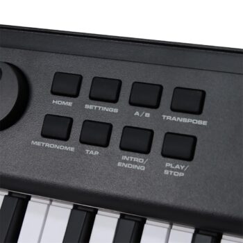 Teclado Electronico 61 Teclas 500 Tonos Midirecargablebt (4)